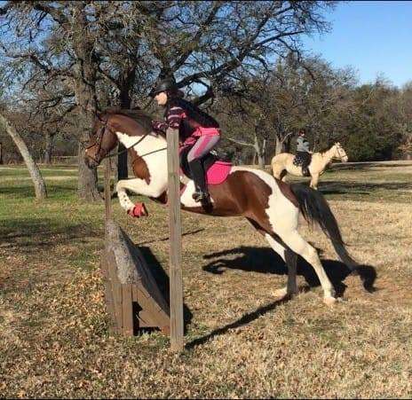 Galaxy Riding School | 5525 Lyons Rd, Garland, TX 75043, USA | Phone: (214) 935-3539