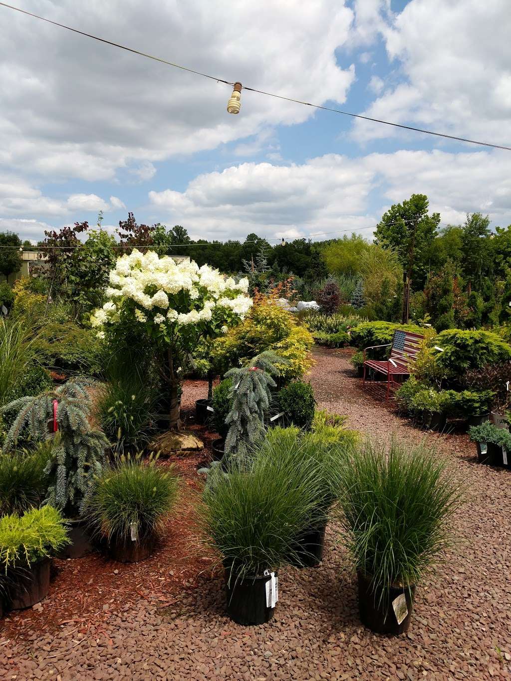 Laurel Oak Garden Center | 199 Tomlinson Mill Rd, Marlton, NJ 08053, USA | Phone: (856) 596-7779