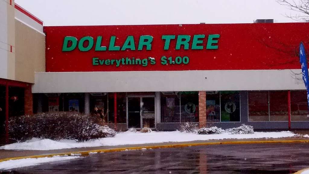 Dollar Tree | 3055 W 159th St, Markham, IL 60428, USA | Phone: (708) 331-0387