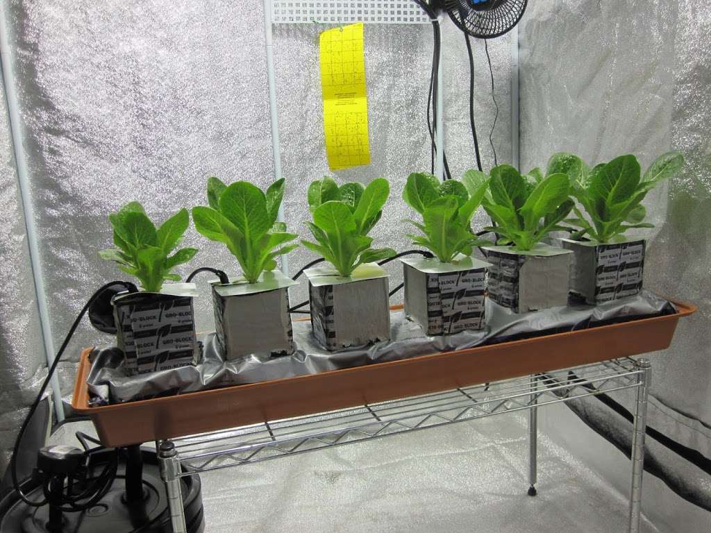 Natural Roots Hydroponics | 295 Daniel Webster Hwy, Nashua, NH 03060 | Phone: (603) 204-5528