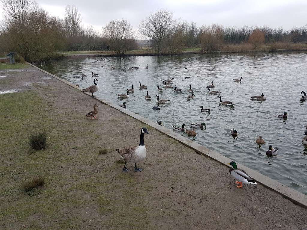 Hornchurch Country Park | Hornchurch RM12 6UB, UK | Phone: 01708 554451