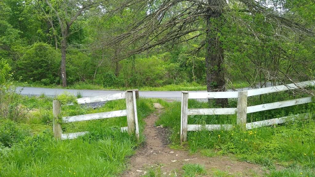 Trail head parking | Appalachian Trail, Linden, VA 22642, USA