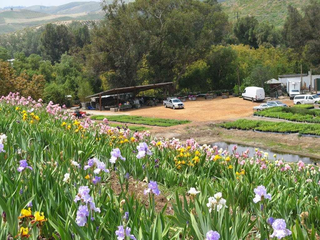 Greenwood Daylily Gardens Inc | 8000 Balcom Canyon Rd, Somis, CA 93066 | Phone: (562) 494-8944