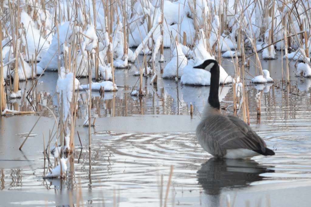 Eastlake #3 Park & Nature Preserve | 3438-3524 E 128th Ave, Thornton, CO 80241, USA | Phone: (303) 255-7833