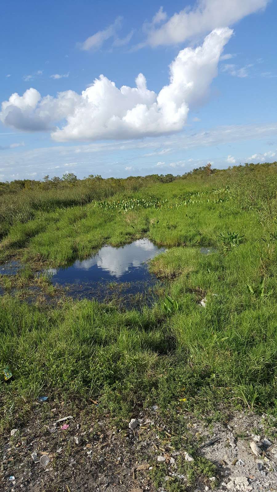 Holey Land Wildlife Management Area | Florida, USA