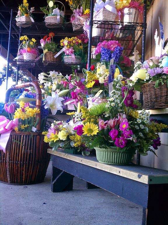 Green Lea Florist Voorhees Floral Village | 204 NJ-73, Voorhees Township, NJ 08043, USA | Phone: (856) 767-4287
