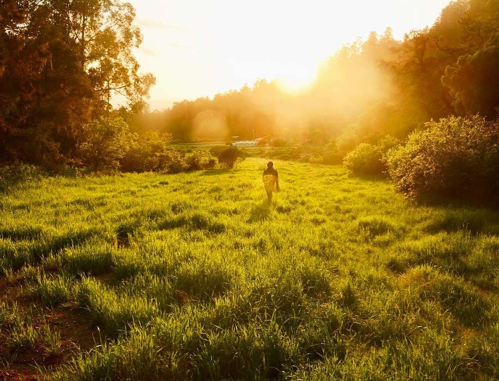 Green Oaks Creek Farm & Retreat | 2060 CA-1, Pescadero, CA 94060, USA | Phone: (650) 879-1009