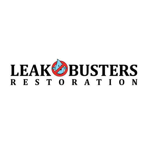 Leak Busters Plumbing | 401 Washingtonia Dr, San Marcos, CA 92078, USA | Phone: (760) 410-6545