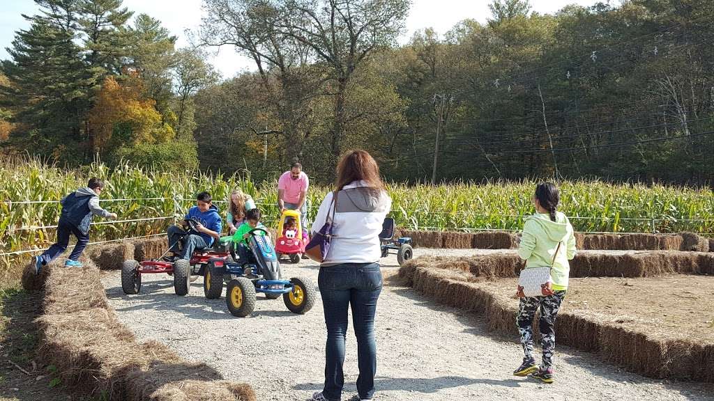 Marini Farm Corn Maze (Closed for Season) | 259 Linebrook Rd, Ipswich, MA 01938, USA | Phone: (978) 356-0430