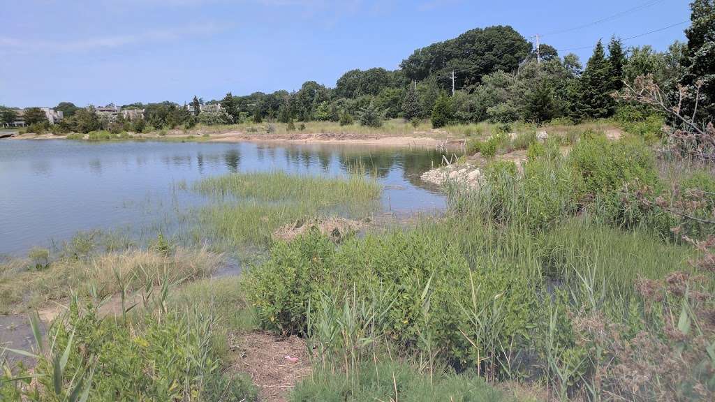 Conservation Park | 250 Driftway, Scituate, MA 02066, USA