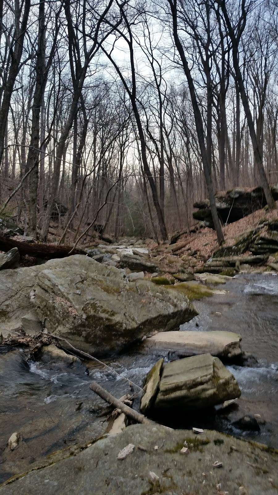 Climbers Run Nature Preserve | 226 Frogtown Rd, Pequea, PA 17565, USA