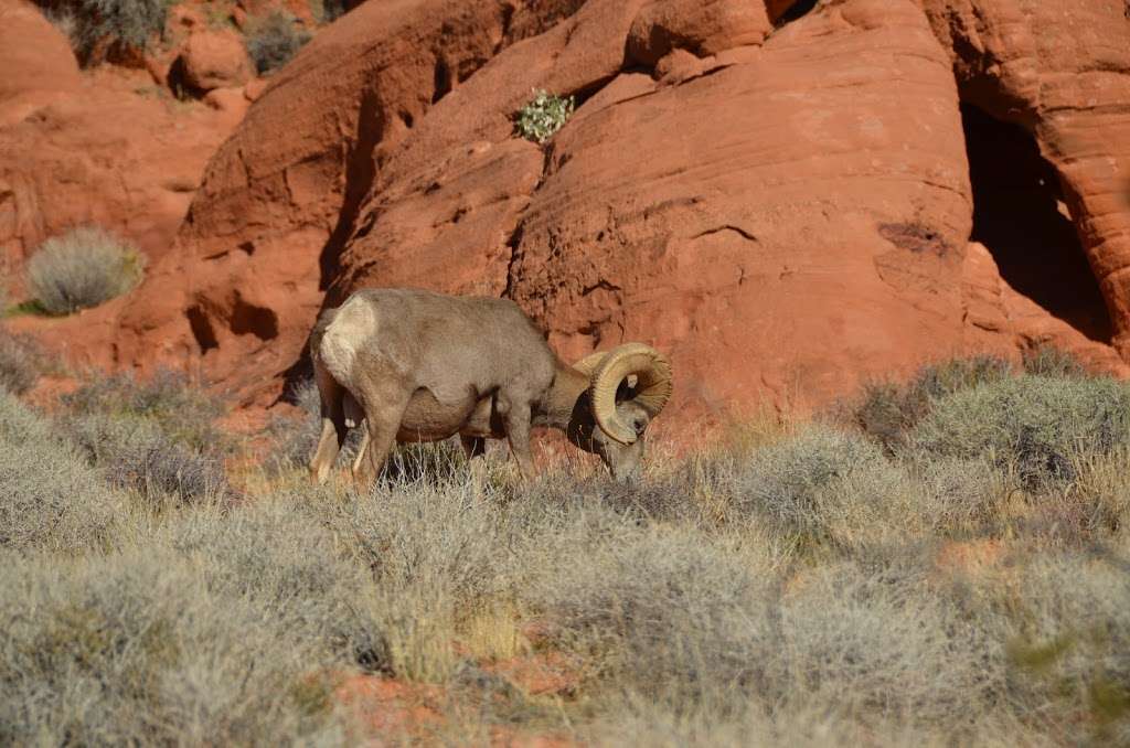 ScreamingMan Cave | Valley of Fire,,, Moapa Valley, NV 89040, USA