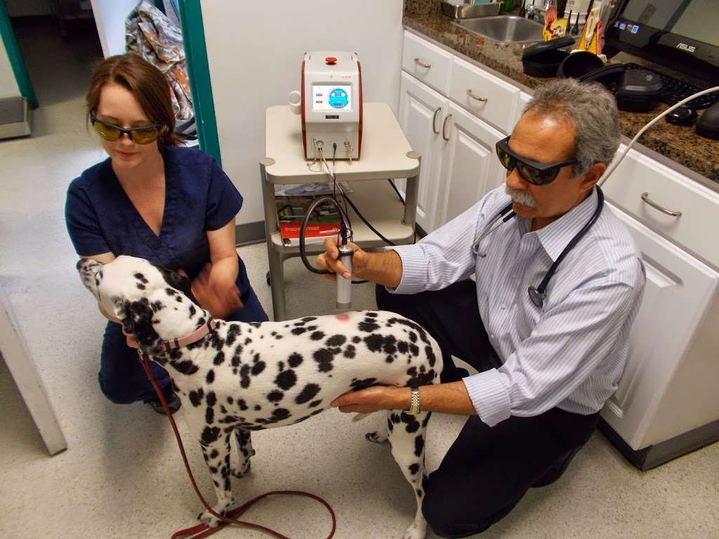 Cupertino Animal Hospital | 10026 Peninsula Ave, Cupertino, CA 95014 | Phone: (408) 252-6380