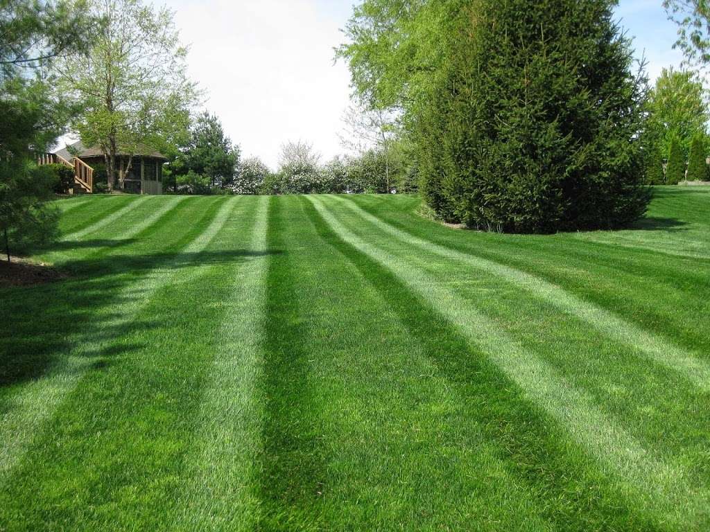 Shades of Green Lawn & Landscape Inc. | 8823 E 100 N, Lafayette, IN 47905, USA | Phone: (765) 771-9998