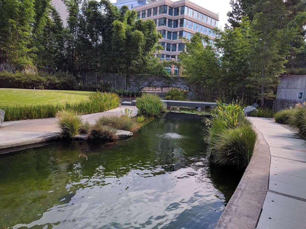 The Koi Pond on The Woodlands Waterway | The Woodlands, TX 77380, USA