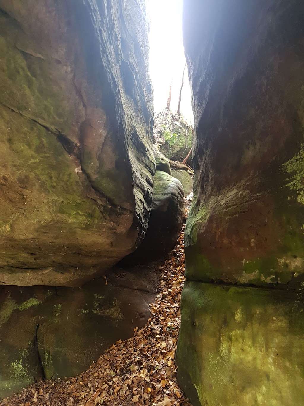 Eridge Rocks Nature Reserve | 1 Warren Farm Ln, Eridge, Tunbridge Wells TN3 9JG, UK