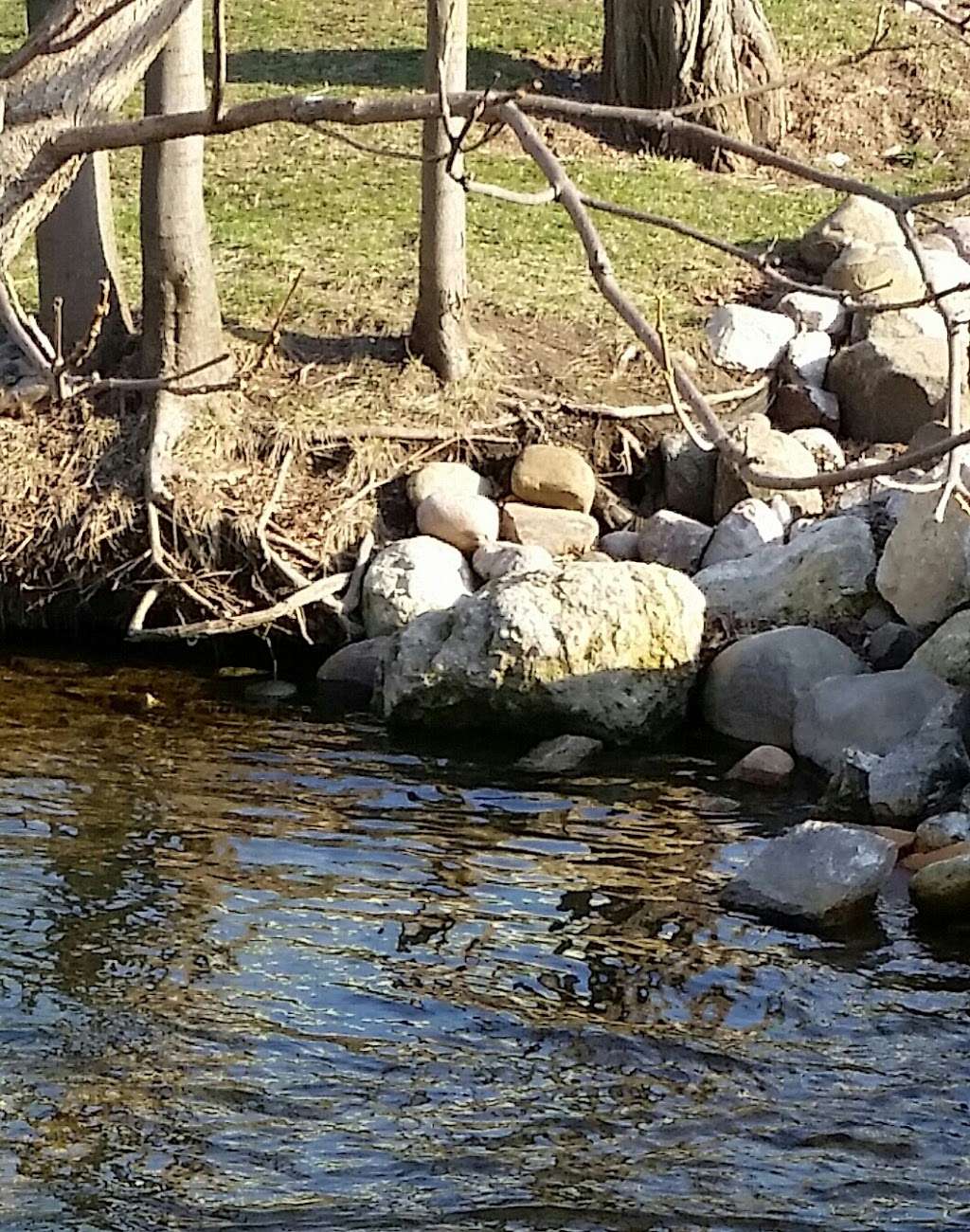 Samuel Donian Wetland Preserve | 626 Geneva St, Lake Geneva, WI 53147, USA | Phone: (262) 248-3673