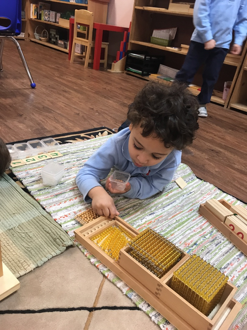 Little Marvels Montessori | 2798 McDermott Rd, Plano, TX 75025, USA | Phone: (214) 383-5228