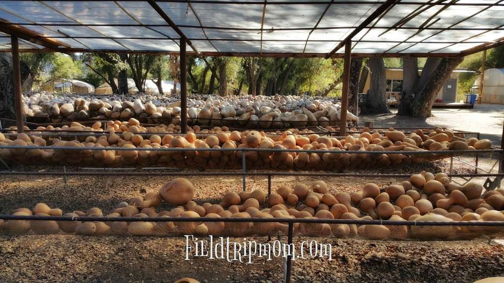 Welburn Gourd Farm | 40635 De Luz Rd, Fallbrook, CA 92028 | Phone: (760) 728-4271