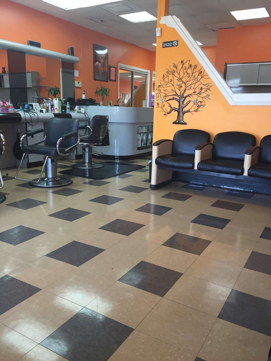 Leinys Dominican Hair Salon | 109 Broadway, Hicksville, NY 11801, USA | Phone: (516) 342-9850