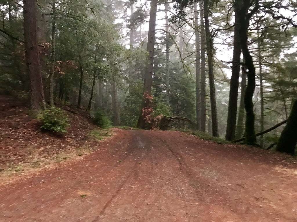 El Corte de Madera Creek Open Space Preserve parking lot | 16040 CA-35, Redwood City, CA 94062, USA