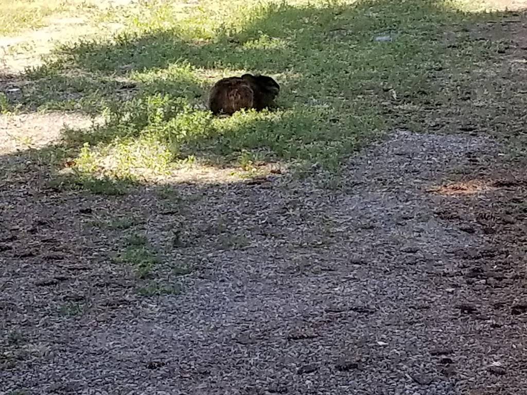 Benefit Playground | 9320 38th Ave S, Seattle, WA 98118, USA | Phone: (206) 684-4075