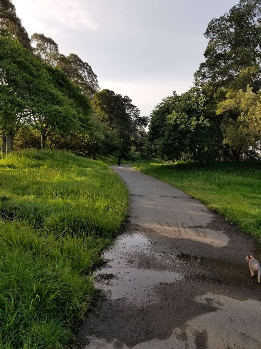 Aquatic park Parking | Aquatic Park Path, Berkeley, CA 94710