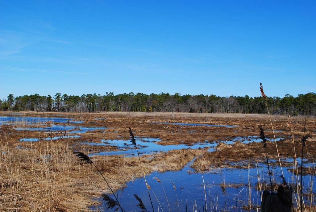 Cooper Environmental Center | 1170 Cattus Island Blvd, Toms River, NJ 08753 | Phone: (732) 270-6960