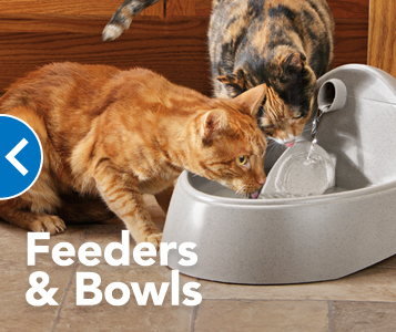 PetSmart | 24005 US-27, Lake Wales, FL 33859, USA | Phone: (863) 855-9297