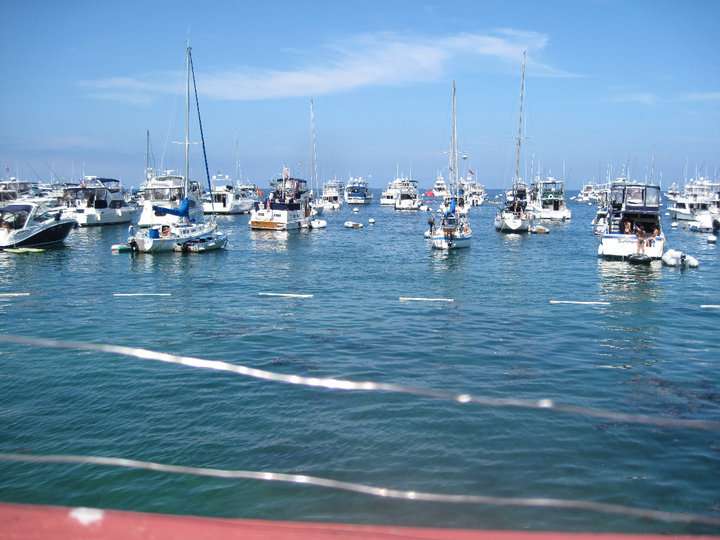 Catalina Island Marine Institute (CIMI) | 1 Toyon Bay Rd, Avalon, CA 90704, USA | Phone: (310) 510-1622