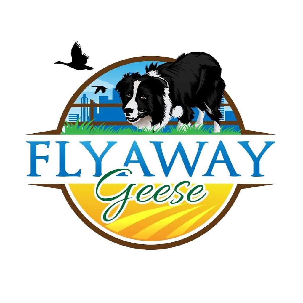 Flyaway Geese | 1101 Polk Ford Rd, Stanfield, NC 28163, USA | Phone: (704) 975-2575