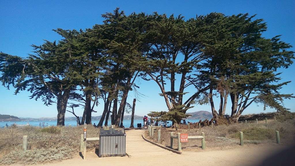 Crissy Field Marsh | Golden Gate Promenade, San Francisco, CA 94129, USA | Phone: (415) 561-4323