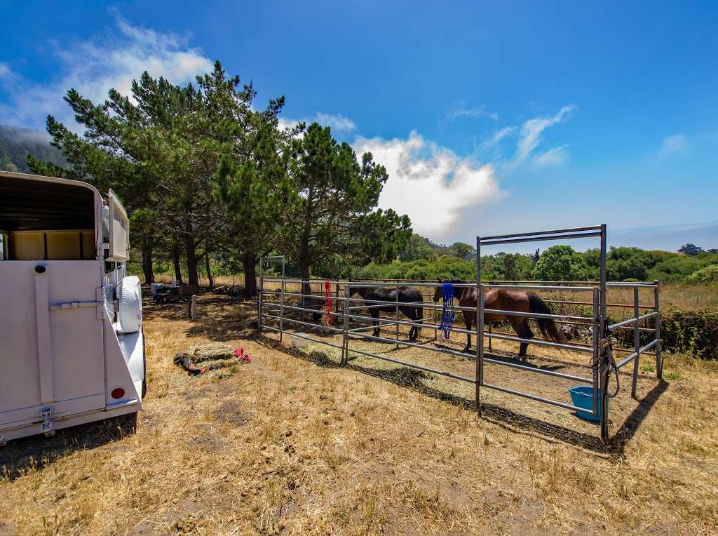 Horse Camp | Davenport, CA 95017, USA | Phone: (831) 338-8861