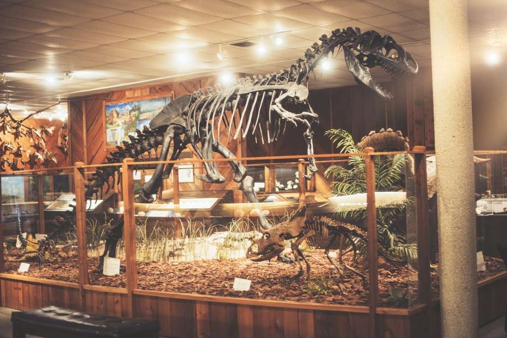 Brazosport Museum-Natural Science | 400 College Blvd, Clute, TX 77531 | Phone: (979) 265-7831