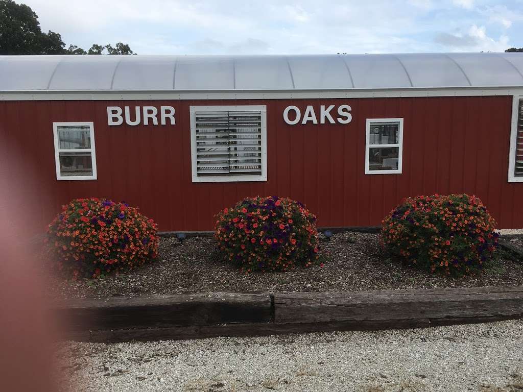 Burr Oaks Greenhouse & Gift | 1275 100th Ave, Kenosha, WI 53144, USA | Phone: (262) 859-2610