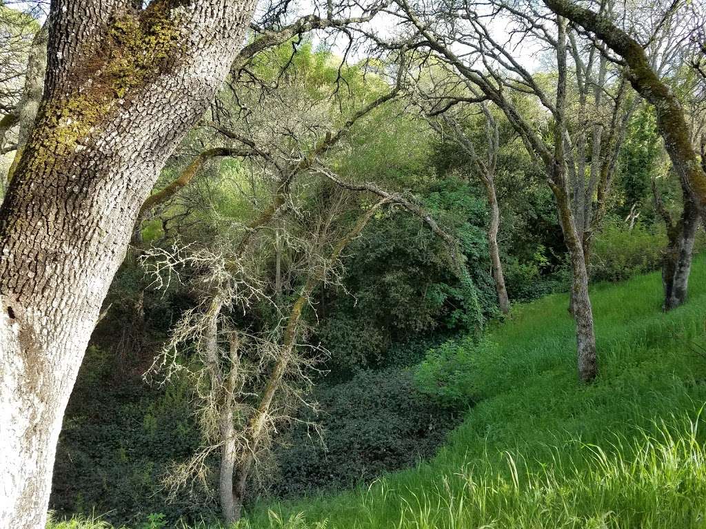 Hidden Lakes Park | Morello Ave & Chilpancingo Pkwy, Martinez, CA 94553, USA | Phone: (925) 372-3500