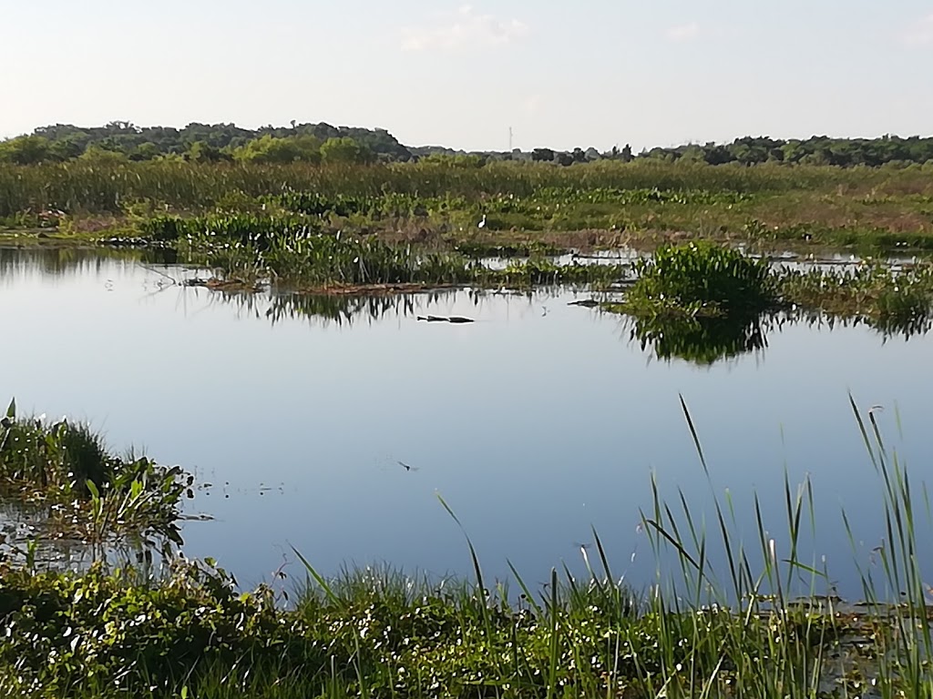 Emeralda Marsh Conservation Area | Emeralda Island Rd, Leesburg, FL 34788, USA | Phone: (386) 329-4404
