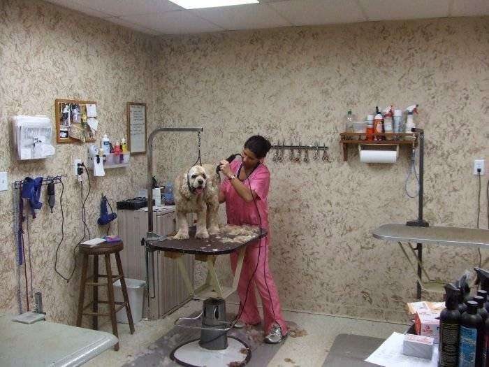 VCA Best Care Pet Motel | 918 W Sunset Dr, Waukesha, WI 53189 | Phone: (262) 547-7905