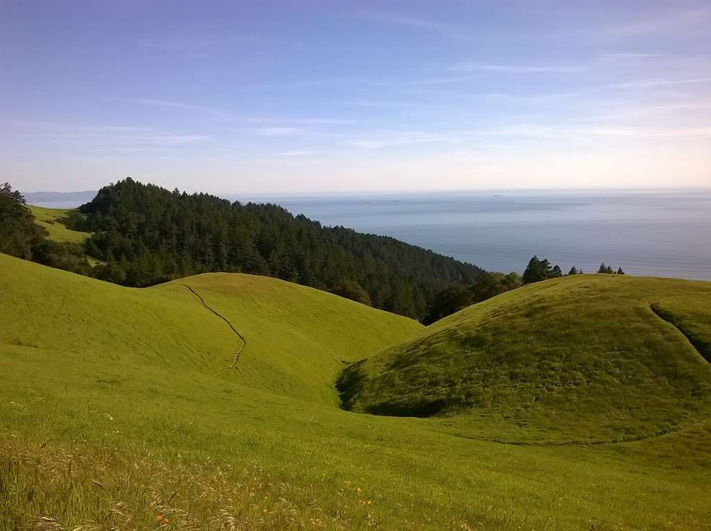 Ballou Point Trailhead | W Ridgecrest Blvd, Stinson Beach, CA 94970, USA