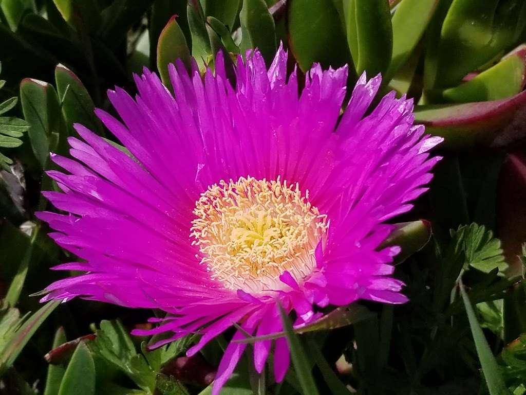 Hole in the Head | Bodega Bay, CA 94923, USA