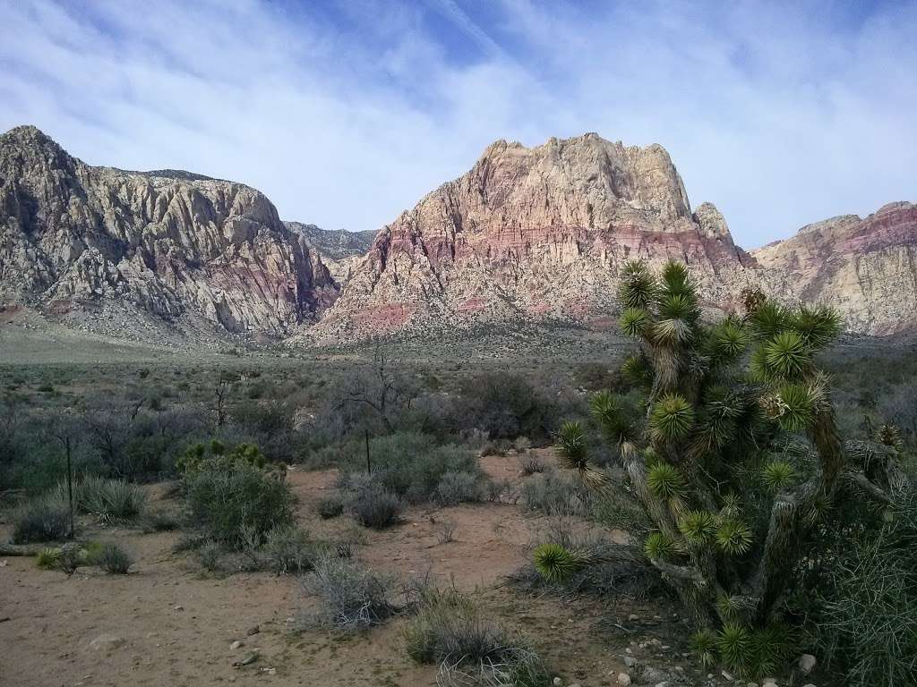 Red Rock Canyon Overlook | Scenic Loop Dr, Las Vegas, NV 89161, USA