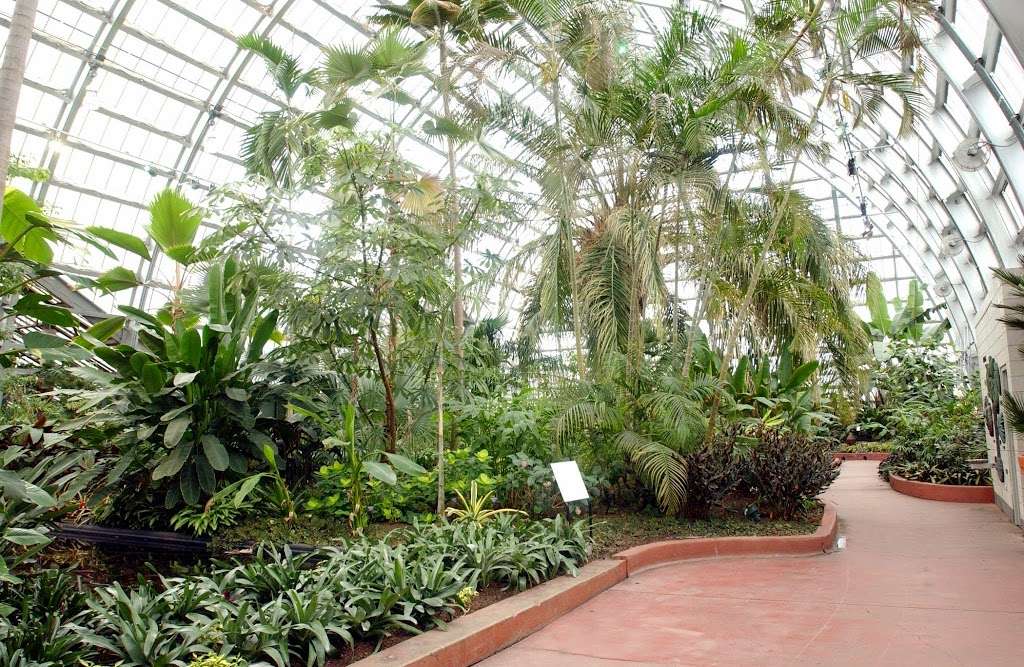 Garfield Park Conservatory | 300 N Central Park Ave, Chicago, IL 60624, USA | Phone: (312) 746-5100