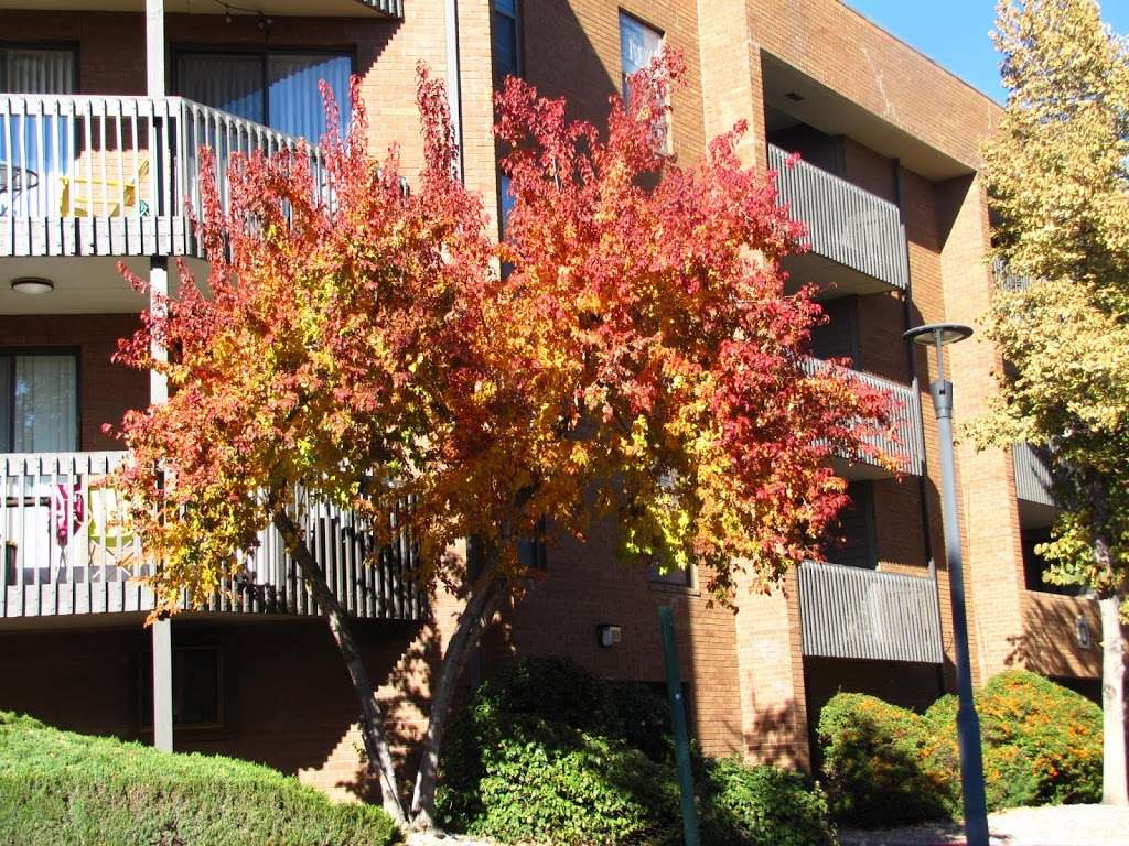 Alta Springs Apartments | 9888 E Vassar Dr, Denver, CO 80231 | Phone: (303) 368-0306