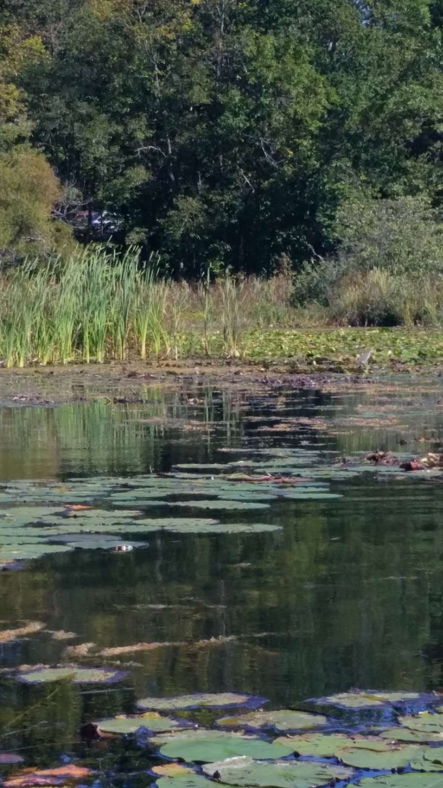 Little Swartswood Lake | Little Lake, Newton, NJ 07860, USA