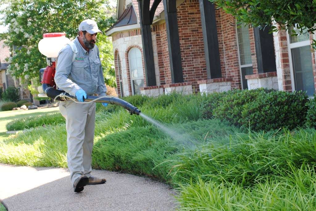 Home Run Pest & Termite Control | 2559 Elm Grove Rd, Wylie, TX 75098, USA | Phone: (972) 800-6354