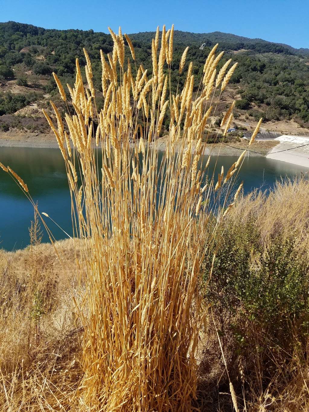 Almaden Quicksilver County Park, Mine Hill Trailhead | McAbee Rd, San Jose, CA 95120, USA | Phone: (408) 268-3883