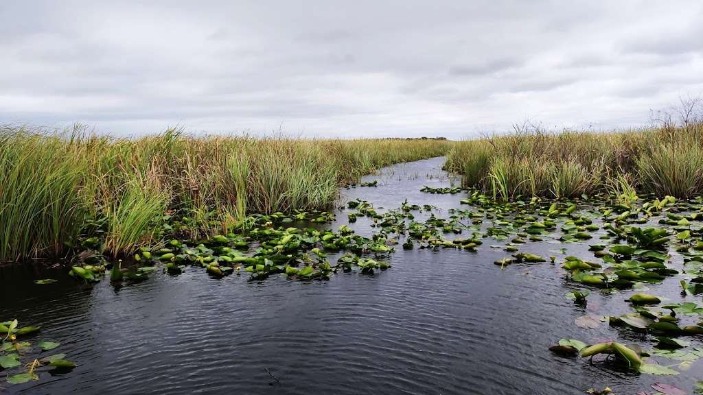 Everglades Nature Tours | ValuJet Flight 592 Memorial (airboat ramp, 41 Mile marker, #30, Miami, FL 33194, USA | Phone: (305) 878-3392