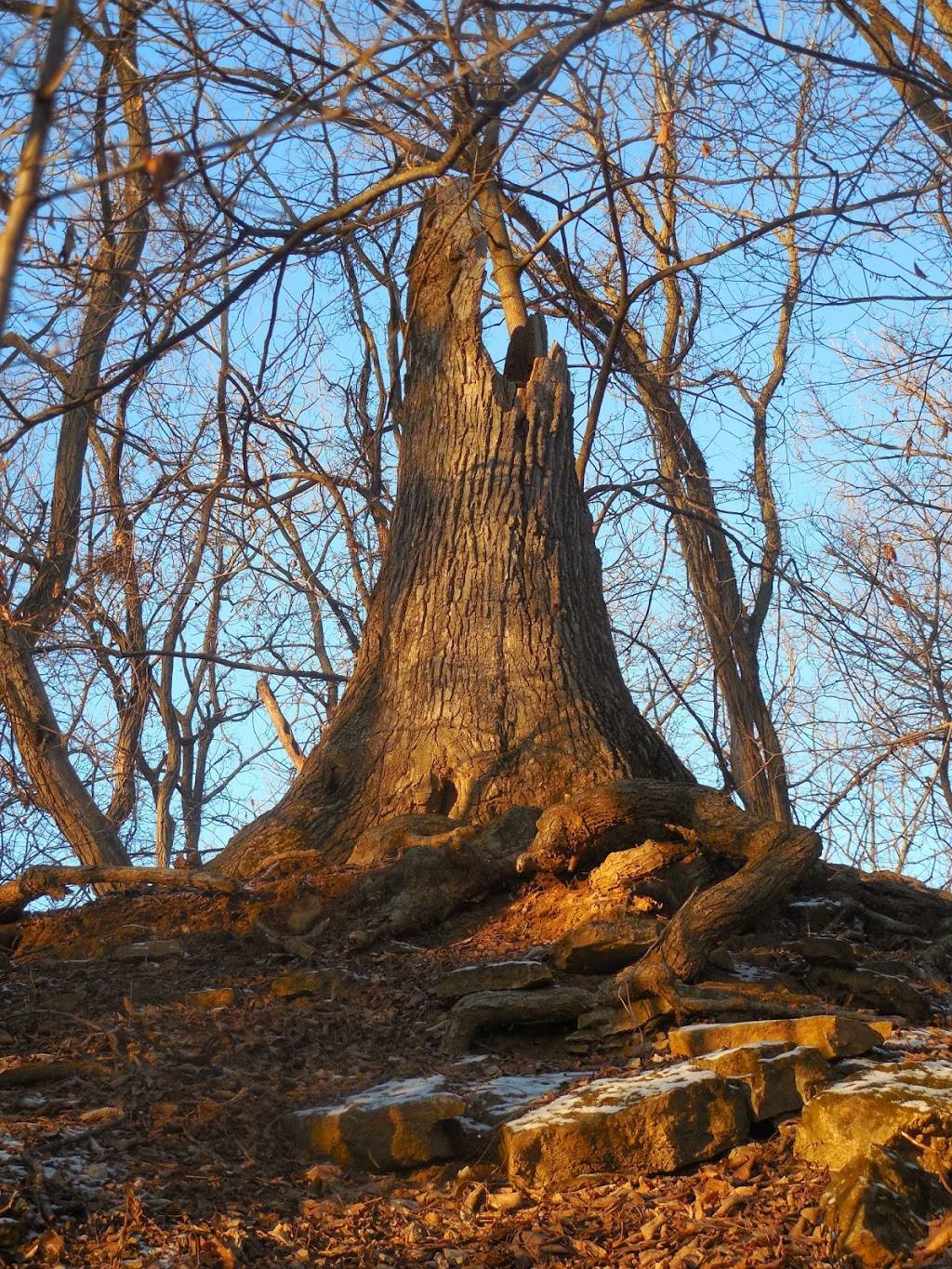 Quarry Park | 3302 Stevens St, Madison, WI 53705, USA | Phone: (608) 266-4711
