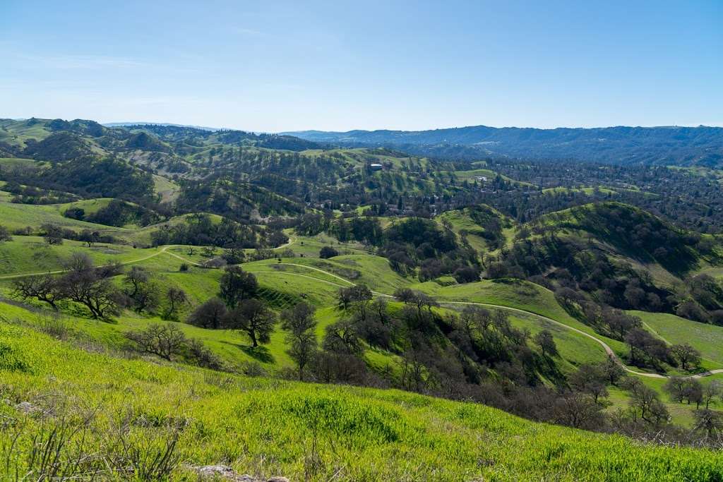 Shell Ridge Open Space | 1035 Castle Rock Rd, Walnut Creek, CA 94598 | Phone: (925) 943-5800