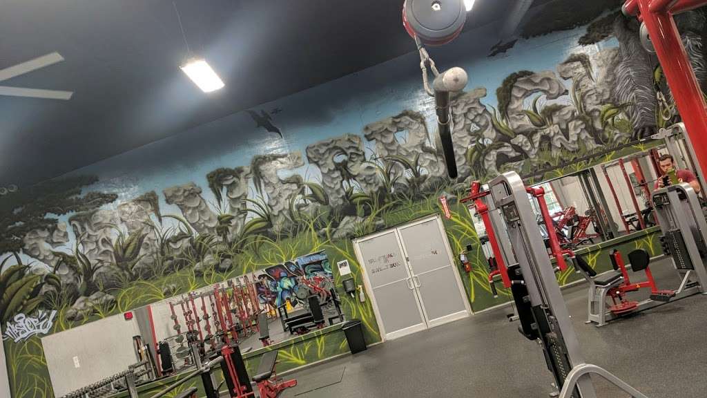 Silverback Gym | 398 League Line Rd, Conroe, TX 77303, USA | Phone: (936) 282-5438